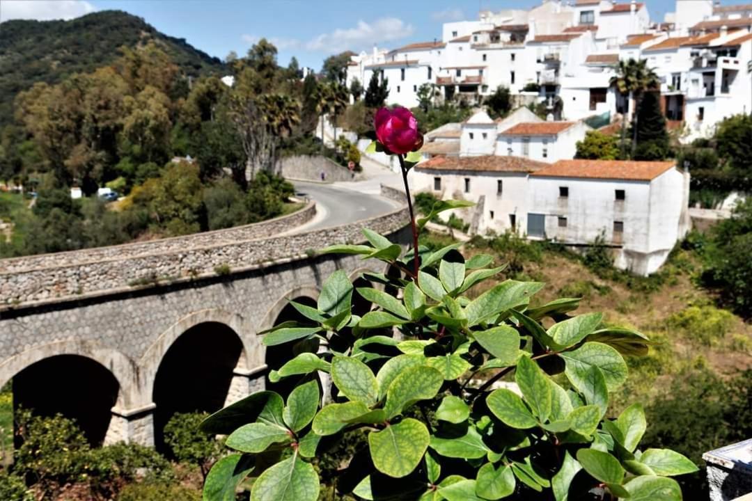 Casa Rural Sierras De Gaucín Esterno foto
